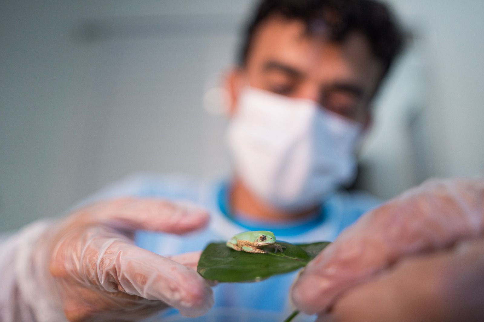 Parque das Aves Anfíbios 2026 | Ecoturismo FozEmDestaque