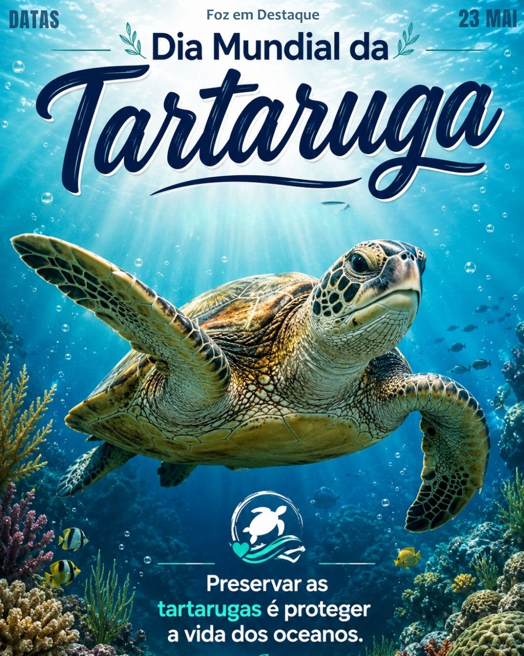 Dia Mundial da Tartaruga Dia Mundial da Tartaruga